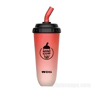 Wdg Mini Cup 일회용 전자담배 5000 퍼프 # 수박 얼음
